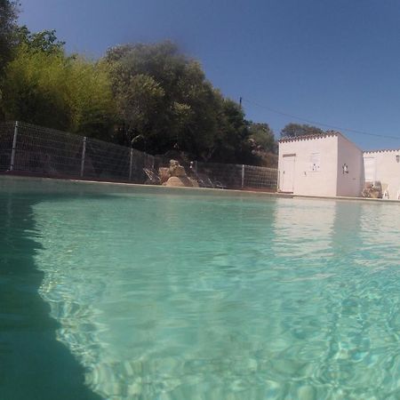 Residence La Beloutiere Porto-Vecchio  Eksteriør bilde