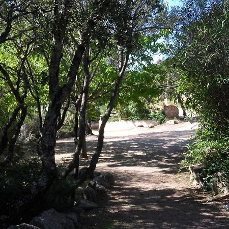 Residence La Beloutiere Porto-Vecchio  Eksteriør bilde