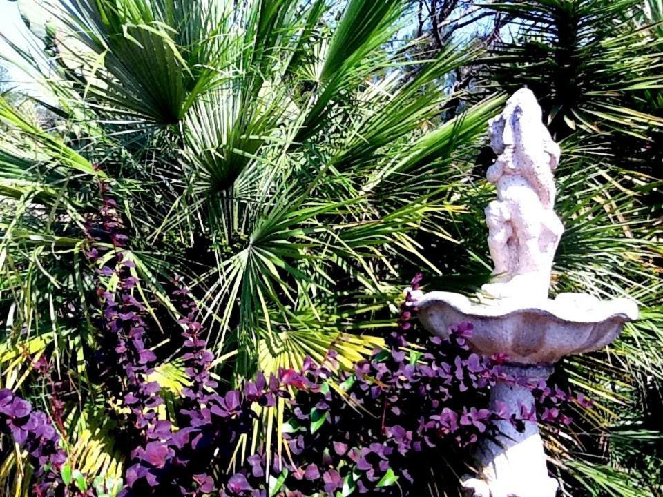 Residence La Beloutiere Porto-Vecchio  Eksteriør bilde
